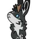 duke_da_dog