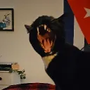 ashschamper