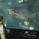 gabethedeadfish