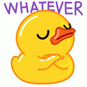 duckiverse