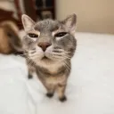 Аватар jllouufep