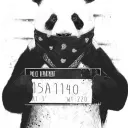 w4vez