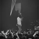 56781233