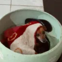 luizin.exe