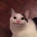jnemo