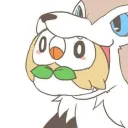 ctbird