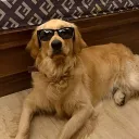misterswishy