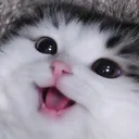 miobro