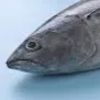 tonnoman