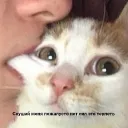 byedali