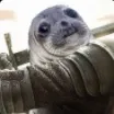 quicheslorraine