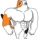snerv_ avatar