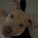 avatar ❀𝒯𝓌𝒾𝓃𝓀𝒾ℯ❀