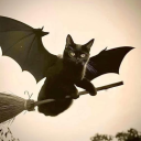 zillamanila#2181's avatar