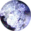 yotta_bio