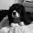 avatar ⚝Sarka ᨐᵉᵒʷ