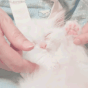 avatar ⚝Sarka ᨐᵉᵒʷ