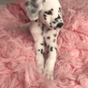 avatar ⚝Sarka ᨐᵉᵒʷ