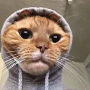 kavacy