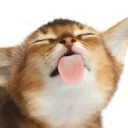 borzoism avatar