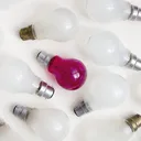 hotpinkbulb