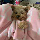 avatar ghrjoaiknfoinewd[0pIANFVCO[NKGV