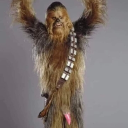 avatar Bush-Wookie