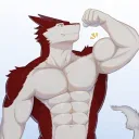 natrixsergal