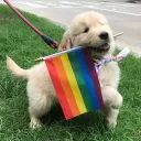 enbyenvyy