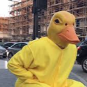 avatar Duck