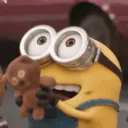 _vasy