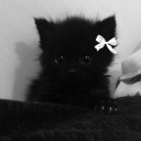 avatar SillyBilly🎀