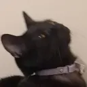 chizueart