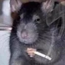 brunoo.exe