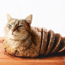 avatar peanut