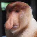 cheekyweasel31