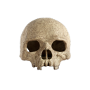 morti69