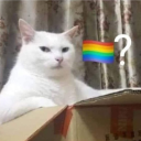 .carpin.#3478's avatar