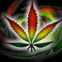 iden_versio.