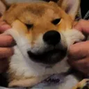 chunnlinn