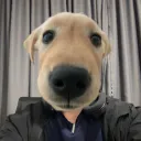 covince_01