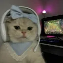 .bweeb avatar