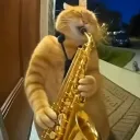 rjvb09