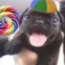 elcubobo