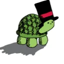 tophatturtle6394