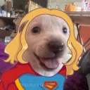 harrisdrover