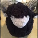 sheepynero