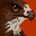 sparrowhawk81