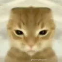 sammyreshirammy