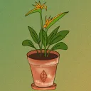 plantnextdoor